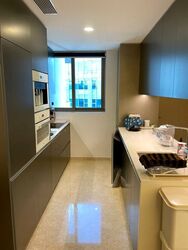 Cairnhill Nine (D9), Apartment #524894811
